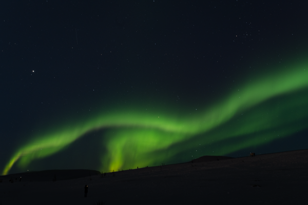 Aurora Four